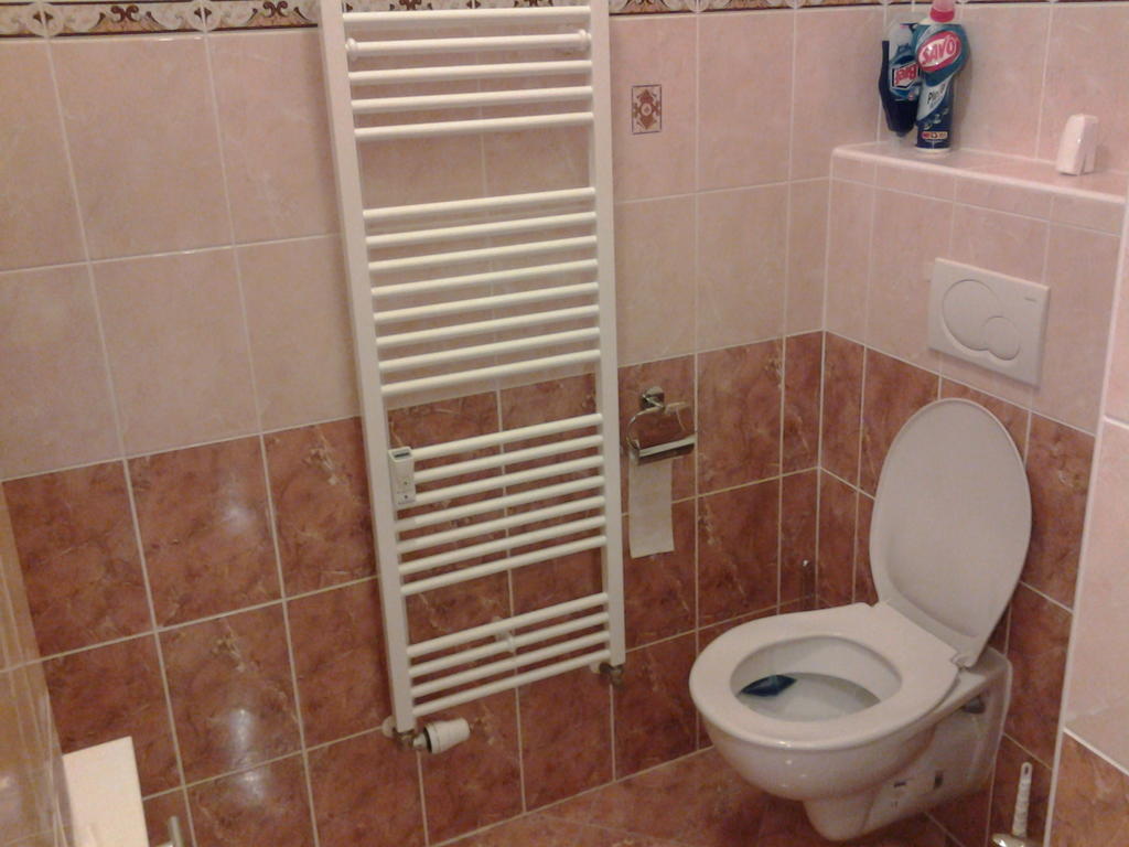 U Tri Jehnatek Apartment Karlovy Vary Room photo